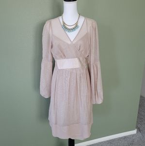 Rose Gold Silk Dress